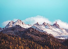 九五至尊-石家庄永昌官方宣布肇俊哲不再担任俱乐部总经理